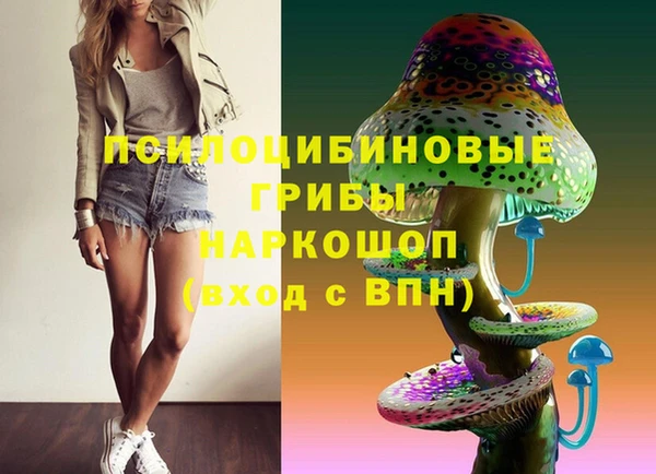 метадон Беломорск