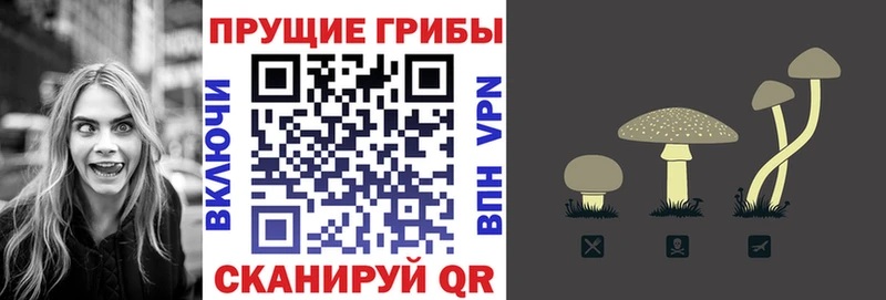 купить наркотики цена MEGA сайт Галлюциногенные грибы Psilocybe Навашино